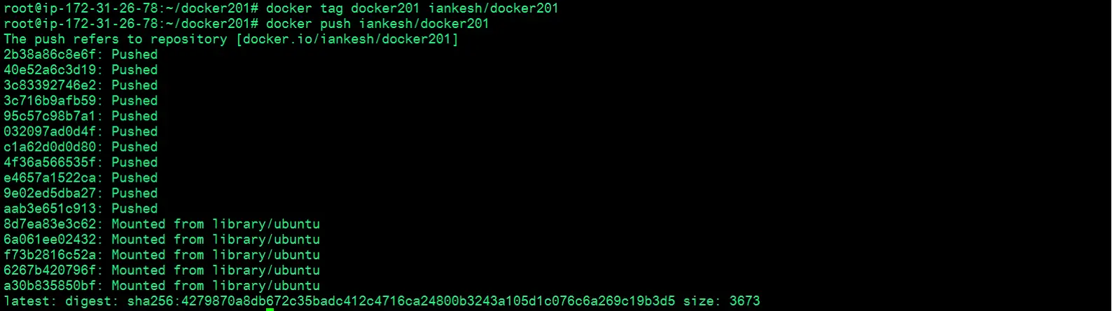 How To Push Docker Images To Docker Hub/repository - The Linux Juggernaut